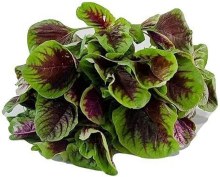 Amarnath Leaves 1lbs