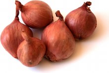 Shallots Onion 5lbs