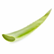 Aloe Vera 1lbs