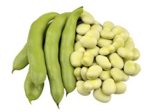 Fava Beans 1lbs