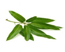 Aamba Leaves   1lbs
