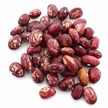 Granberry Beans (Seed Only) 1lbs