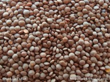 Masoor Whole Green  1lbs