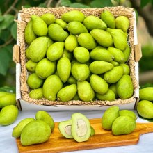 Baby Mango 1lbs