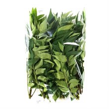 Curry Leaves packet Each
