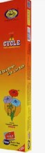 Incense stick single