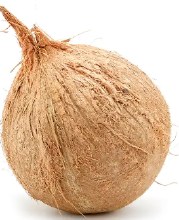 coconut whole big -