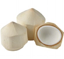 fresh young coconut