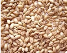 Haleem wheat 2lb