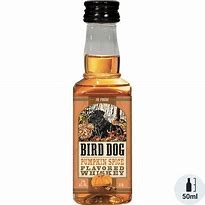 BIRD DOG WHISKEY PUMPKIN SPICE