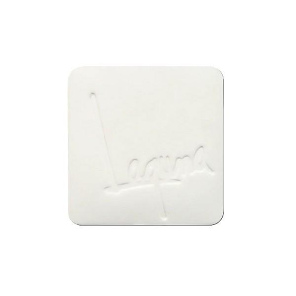 NS131 - Snow Porcelain Slip, Cone 5/6, Gall.