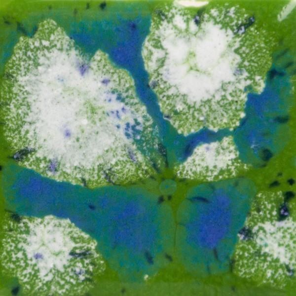 S2715 -  Spotted Kiwi  Cone 06-10, Pint