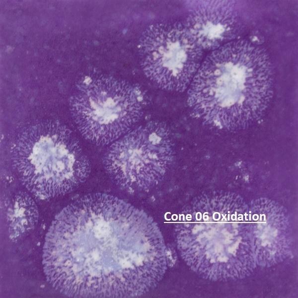 S2723 -  Grape Divine  Cone 06-10, Pint