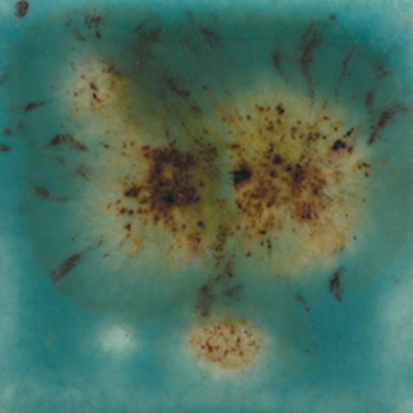 S2724 -  Lotus Blossom  Cone 06-10, Pint