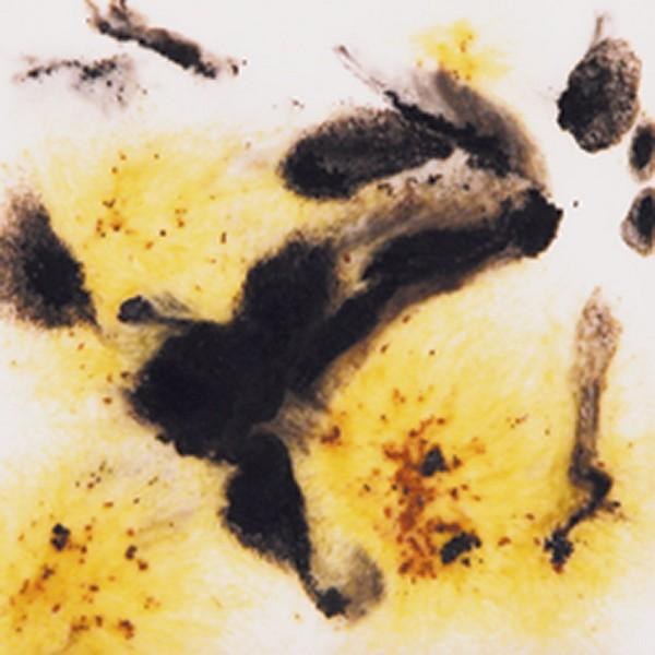 S2726 -  Cheetah  Cone 06-10, Pint