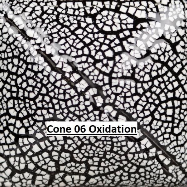 SG202 -  White Cobblestone  Cone 06-10, Pint