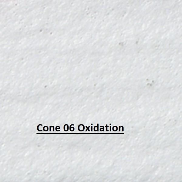 SG302 -  Snowfall  Cone 06-10
