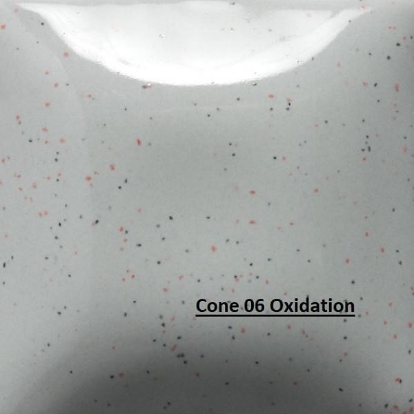 SP260 -  Speckled Silver Lining  Cone 06-10, Pint