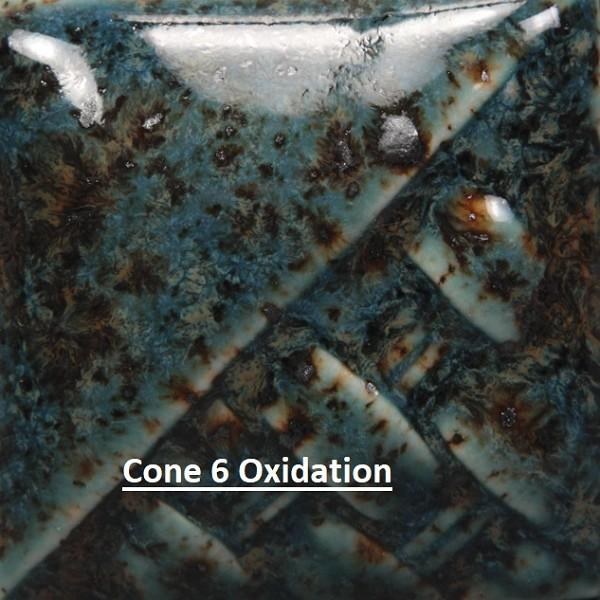 SW-154 Shipwreck  Pint Cone 5-10