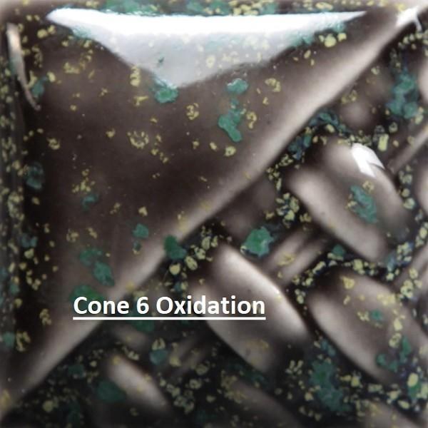SW-171 Enchanted Forest Pint Cone 5-10
