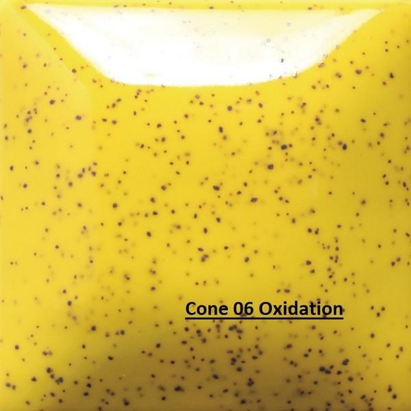 SP206 - Speckled Sunkissed Cone 06-10, 2oz