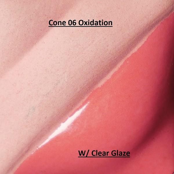 2V323 - Salmon Cone 06-10, 2oz