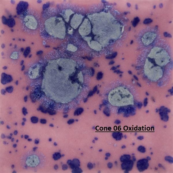 S2703 - Berryberry Pie Cone 06-10, 4oz