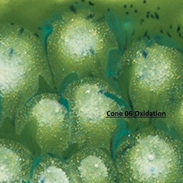 S2715 - Spotted Kiwi Cone 06-10, 4oz