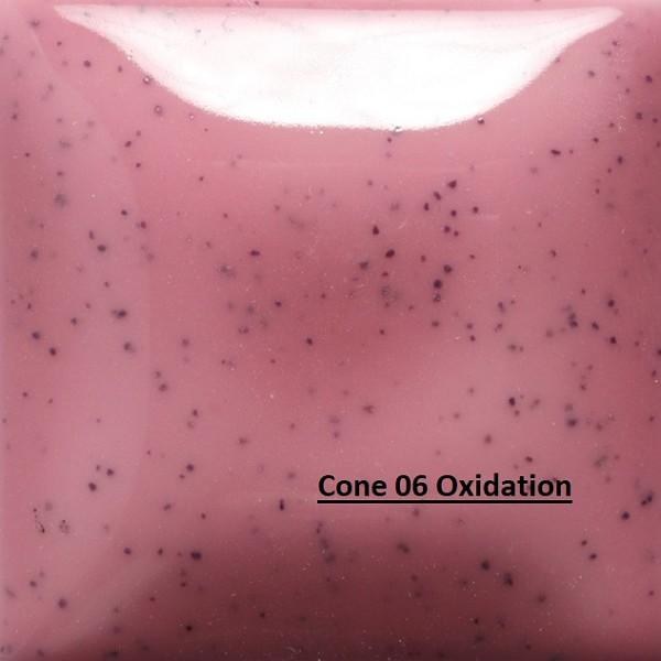 SP270 - Speckled Pink-A-Dot Cone 06-10, 8oz