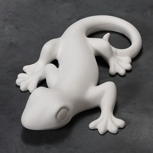 CD715 - Gecko, Medium