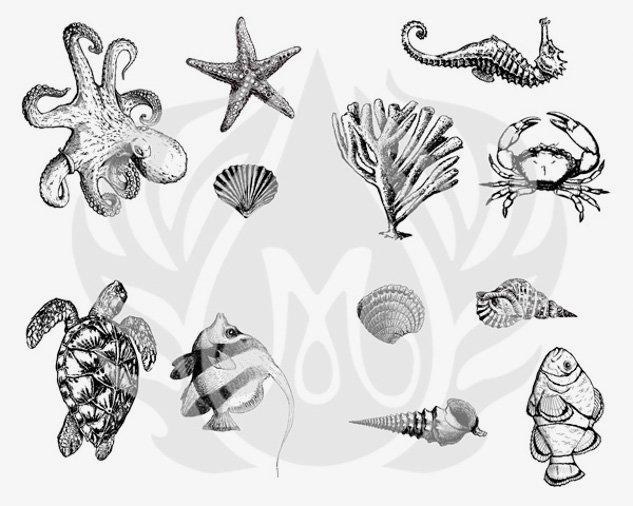 DSS0102 - Sea Life Designer Silkscreen
