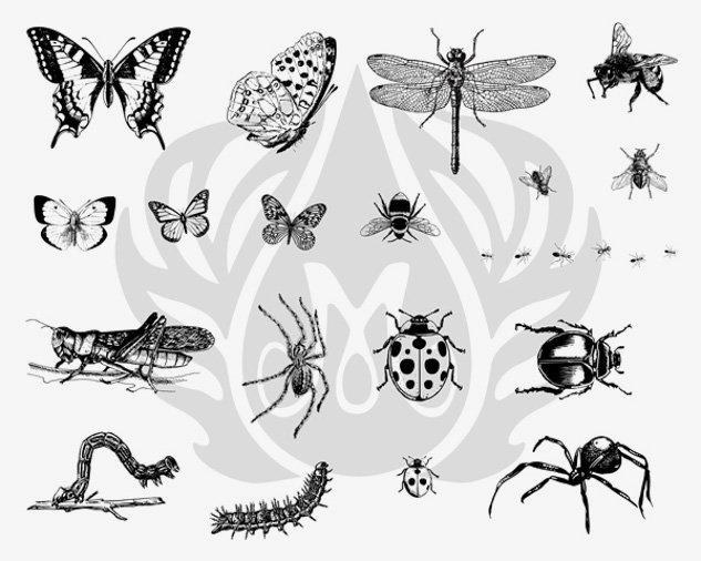 DSS0113 - Bugs Designer Silkscreen
