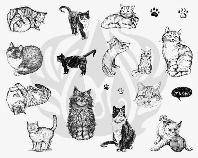DSS0120 - Cats Designer Silkscreen