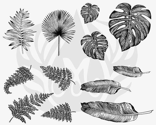 DSS0166 - Tropical Leaves Designer Silkscreen