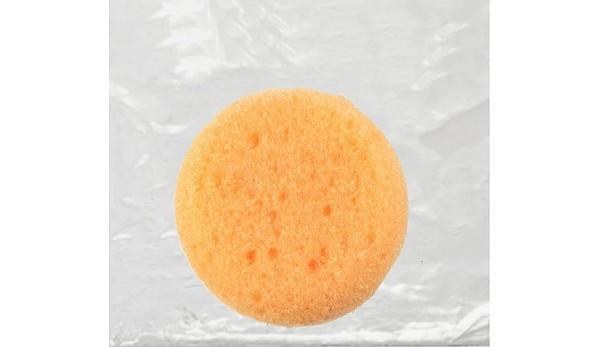 HS2.5 - Hydra Sponge- Synthetic 2.5" Dia.