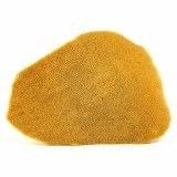 LEES - Elephant Ear Sponge- Large 3-4"