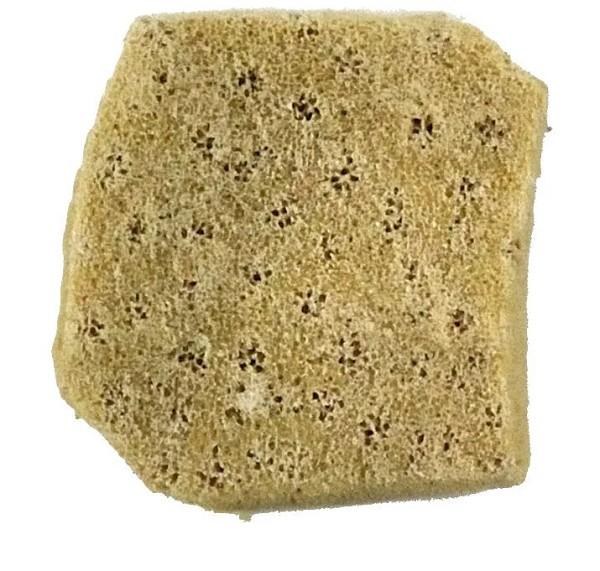 SEES - Elephant Ear Sponge- Small 2" - 3"