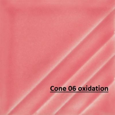 FN236 - Miami Pink Cone 06-10, 4oz