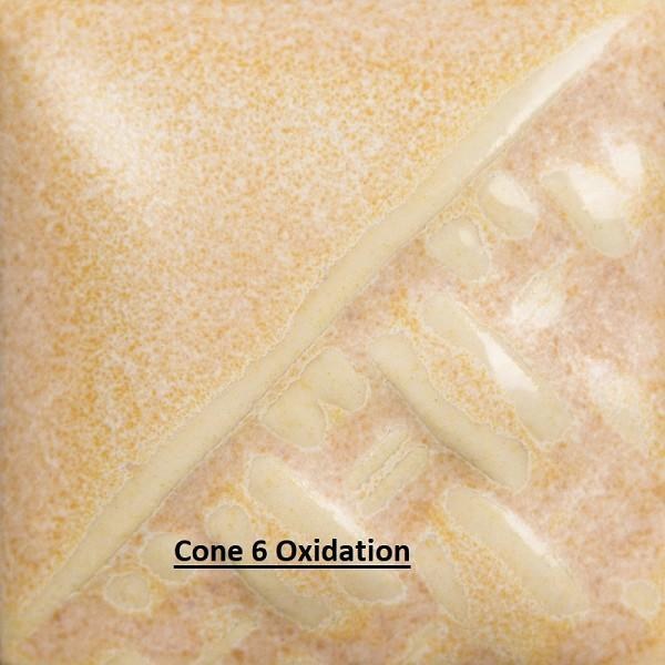 SW-196 Sand Dollar  Pint Cone 5-10
