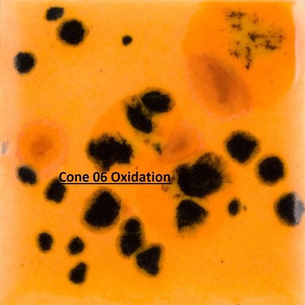 CG-1013  Papaya Cone 06-10, 4oz