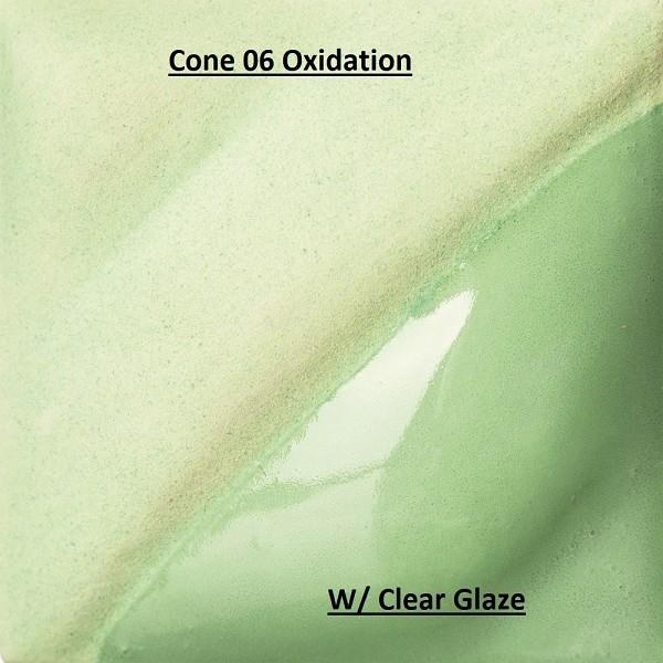 PV349 - Cactus  Cone 06-10, Pint