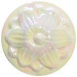 MOP - Mother of Pearl, 25g