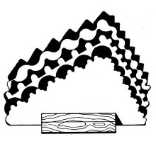 Deco Ribs (6 Pack)