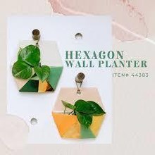 Additional picture of 44383 - Hexagon Wall Planter     7.5"L x 7"W x 3"H