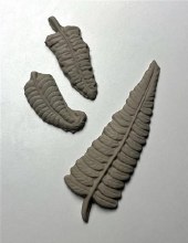 Additional picture of SG57 Fern Leaves Sprig Mold