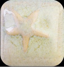 MS-229 Sea Grass Cone 5, Pint