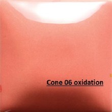 Additional picture of FN-049  Flamingo  Cone 06-10, Pint