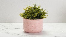 Additional picture of FN-209  Floral Pink  Cone 06-10, Pint