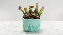 Additional picture of FN-214  Pastel Jade  Cone 06-10, Pint