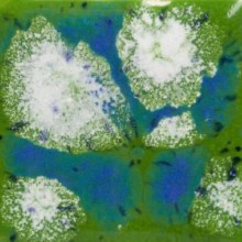 S2715 -  Spotted Kiwi  Cone 06-10, Pint